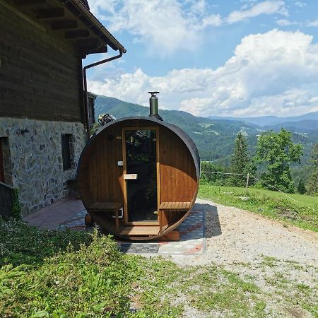 Apartments Petek Gornji Grad Bagian luar foto