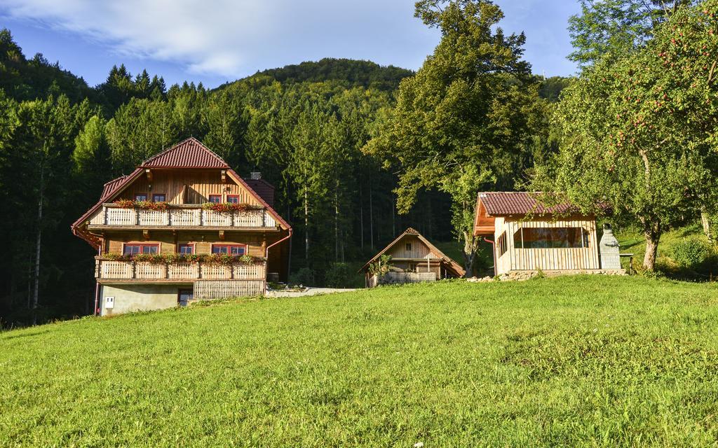 Apartments Petek Gornji Grad Ruang foto