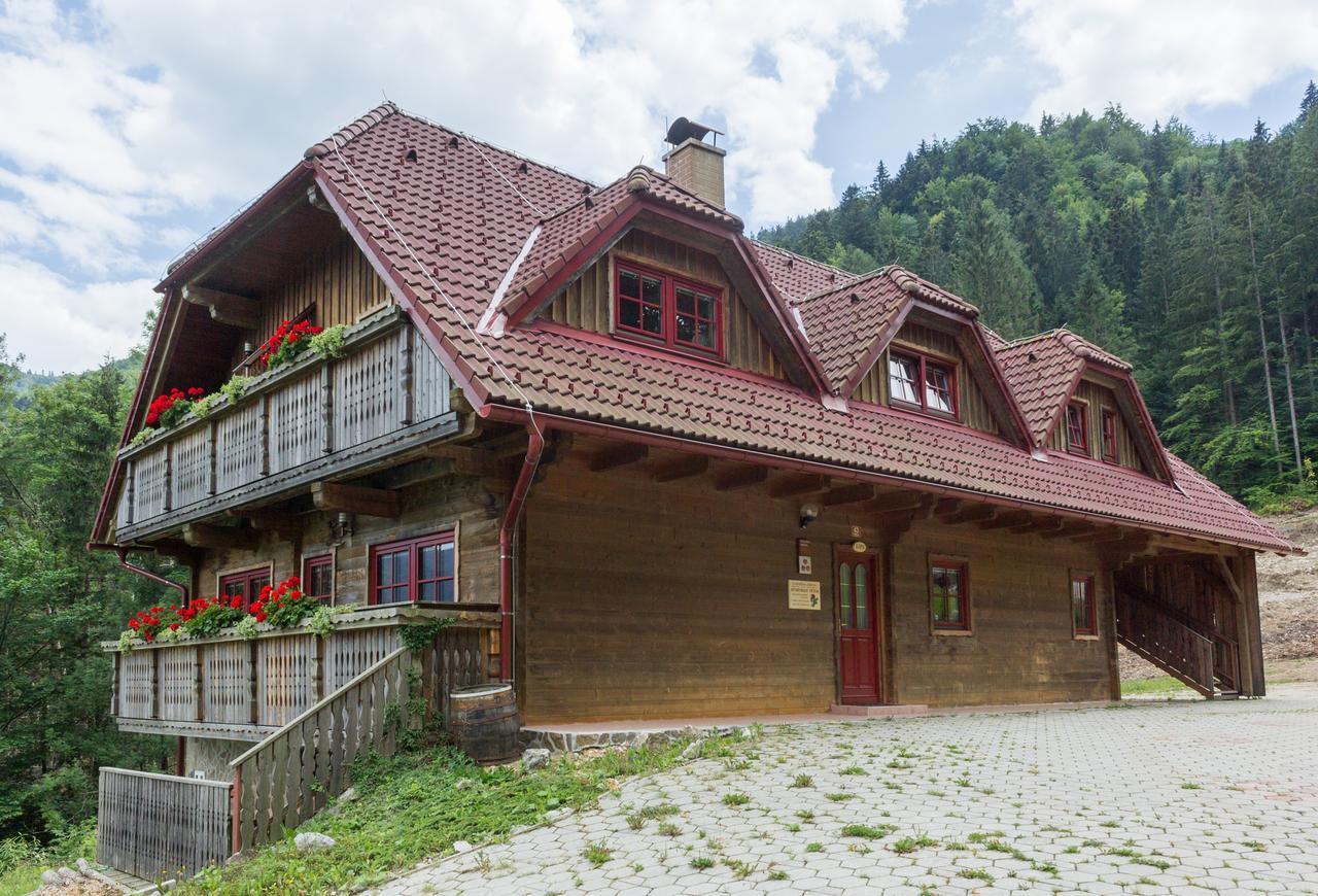 Apartments Petek Gornji Grad Bagian luar foto