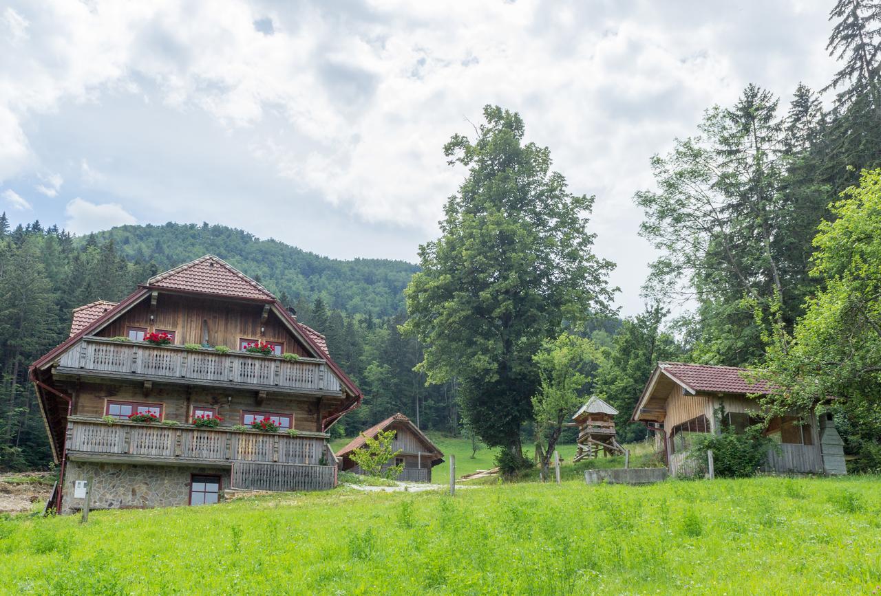 Apartments Petek Gornji Grad Bagian luar foto