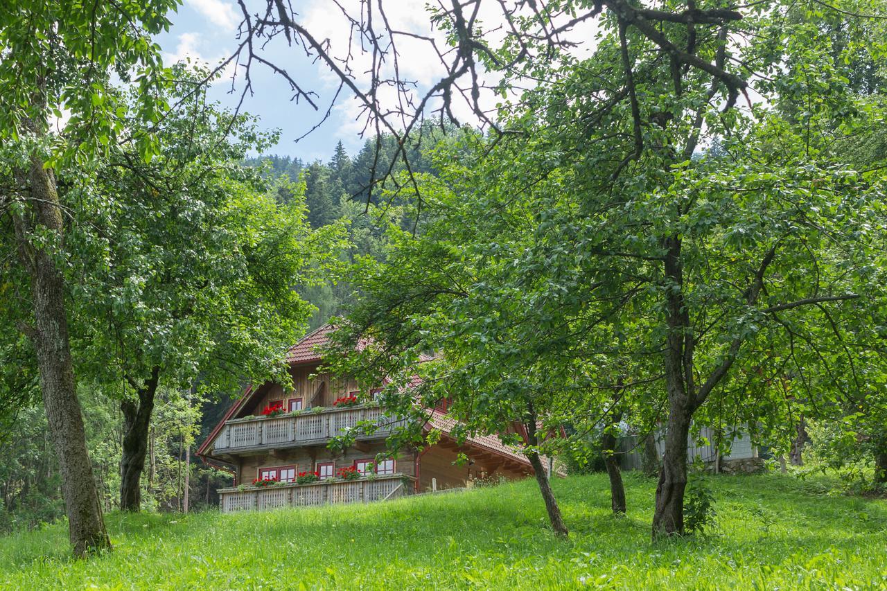 Apartments Petek Gornji Grad Bagian luar foto